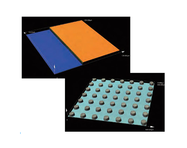 3D 이미지 관찰 & 측정